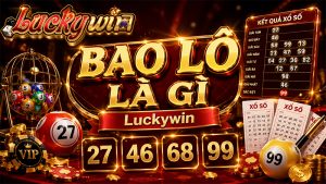 Bao Lô Là Gì